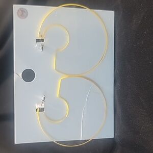 Forever 21 Retro Earrings